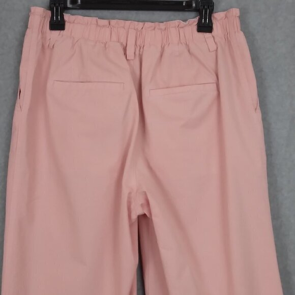 Sundance | Cotton Twill Pants Elastic Waist Light Pink | Size 10P - Picture 5 of 9